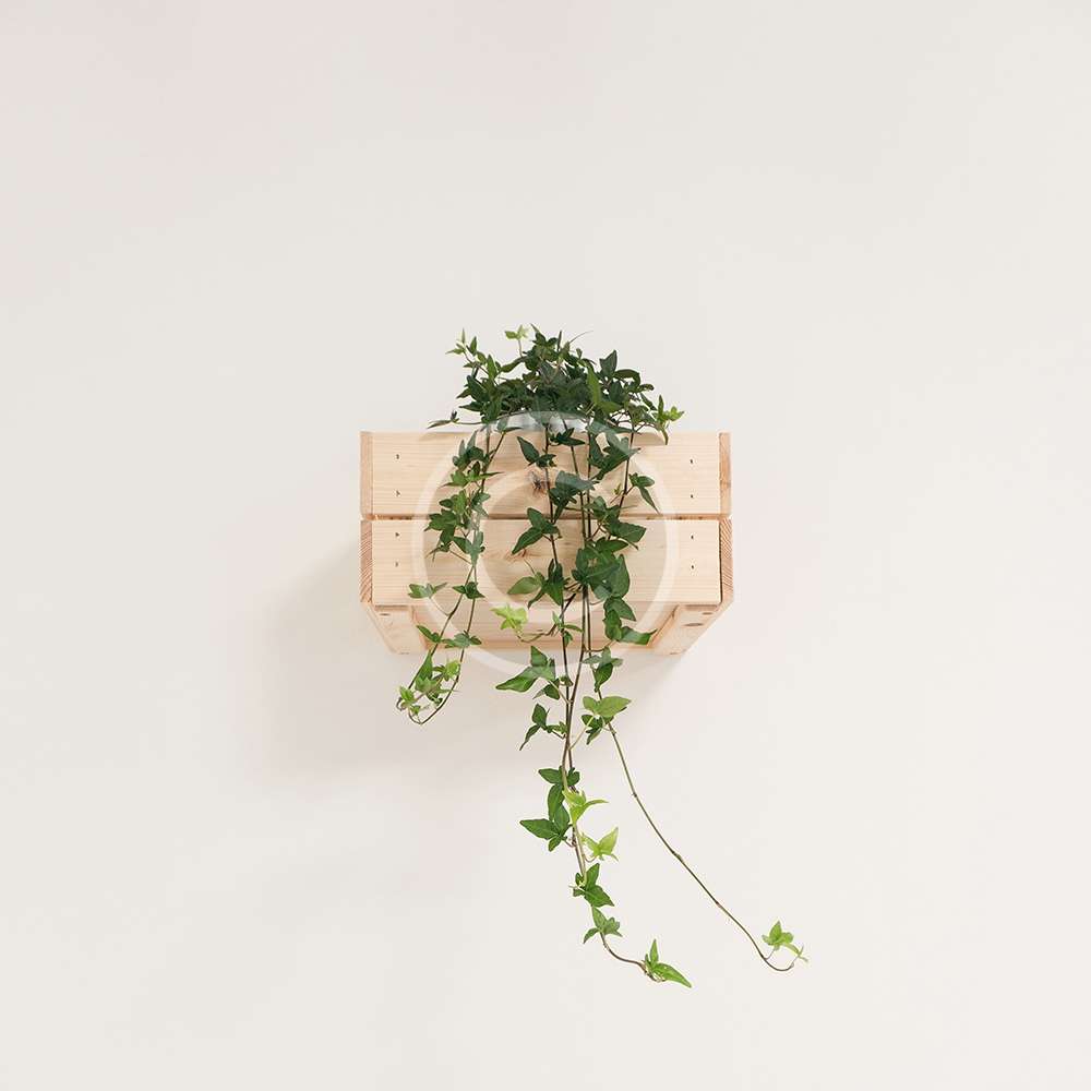 product-5-copyright